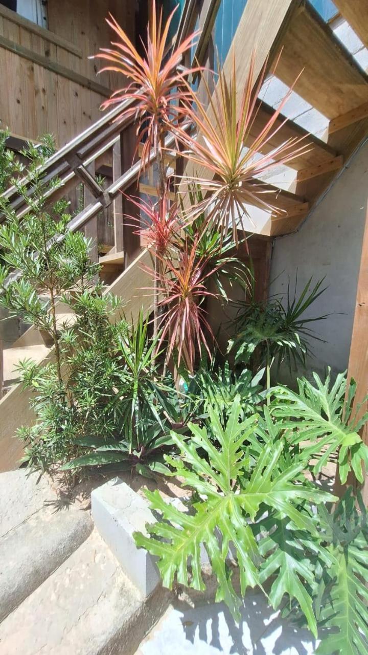 Inn Rosa Bonita